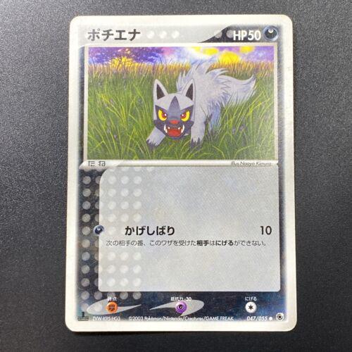 PSA 10 Poochyena EX Dragon graded Pokémon card