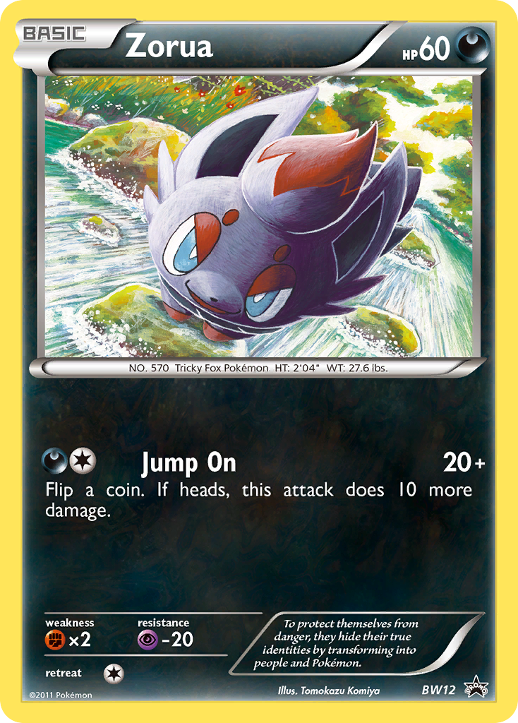 PSA 10 Zorua BW Black Star Promos graded Pokémon card