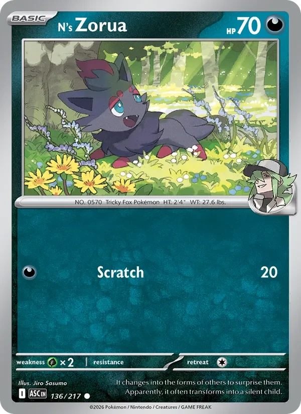 N's Zorua 136/217 Ascended Heroes Pokémon card, Common, front scan
