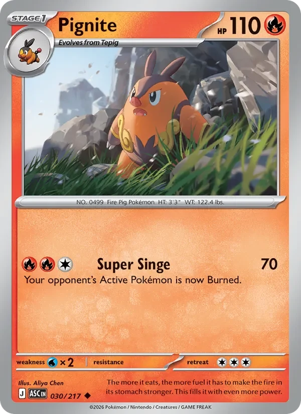 Pignite 030/217 Ascended Heroes Pokémon card, Uncommon, front scan