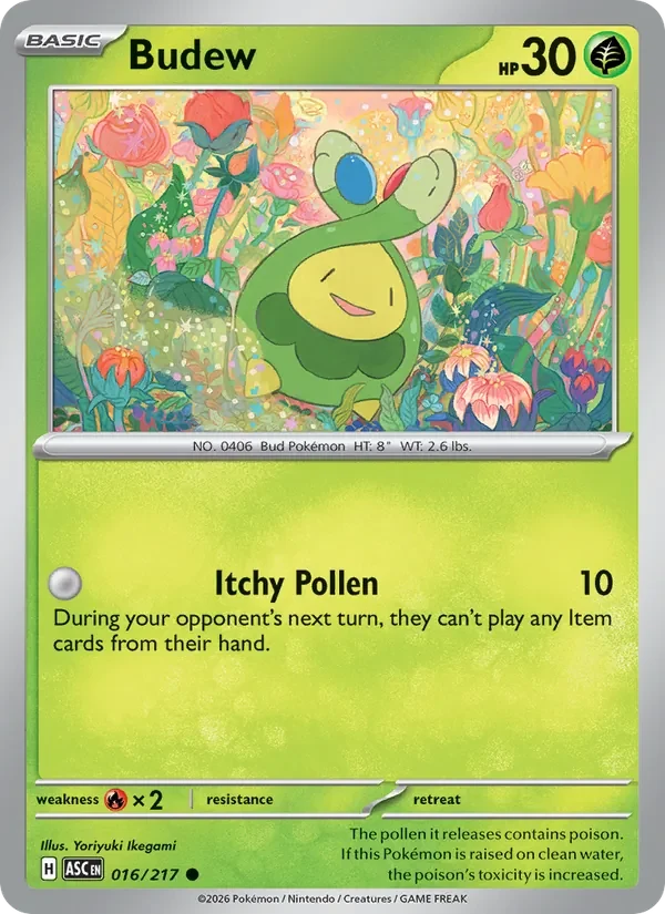 Budew 016/217 Ascended Heroes Pokémon card, Common, front scan