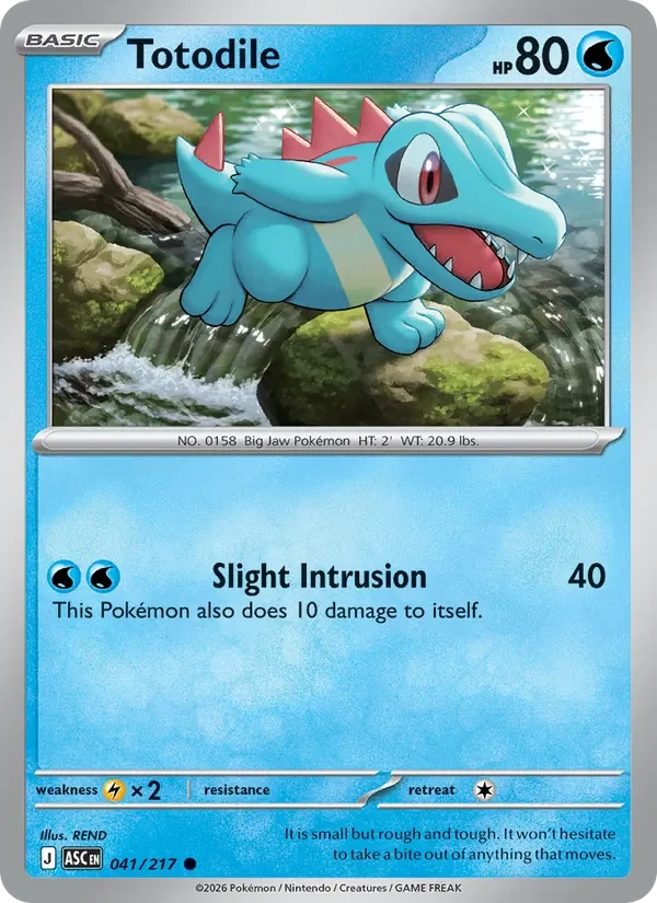 Totodile 041/217 Ascended Heroes Pokémon card, Common, front scan