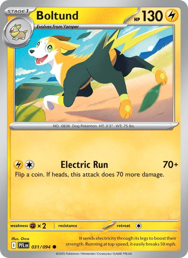 Boltund 031/094 Phantasmal Flames Pokémon card, Common, front scan