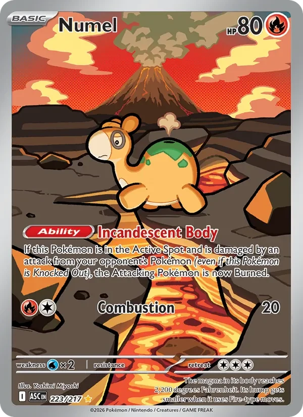 Numel 223/217 Ascended Heroes Pokémon card, Illustration Rare, front scan