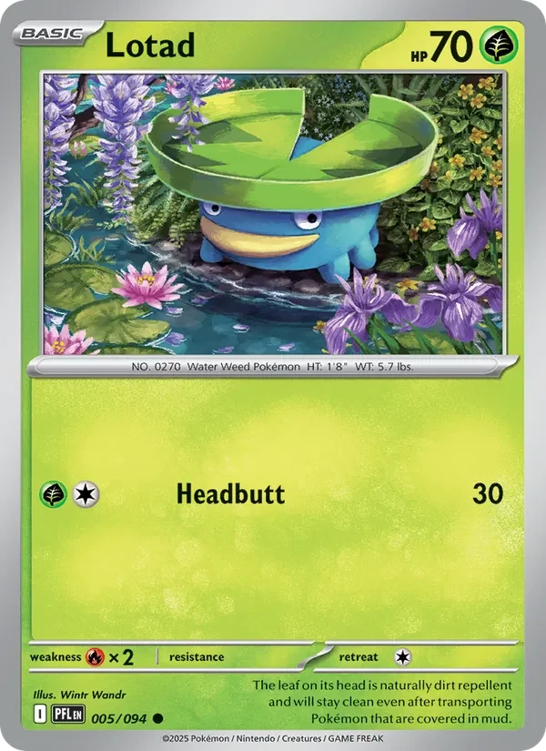Lotad 005/094 Phantasmal Flames Pokémon card, Common, front scan
