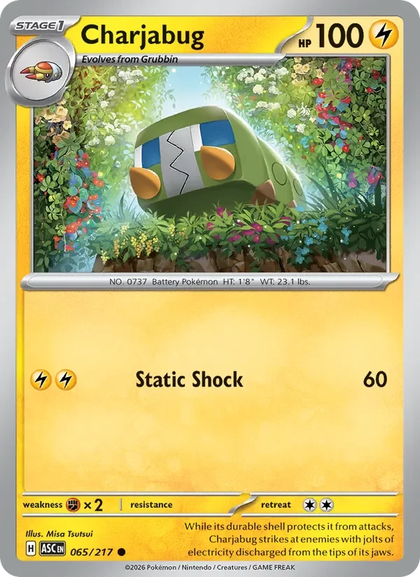 Charjabug 065/217 Ascended Heroes Pokémon card, Common, front scan