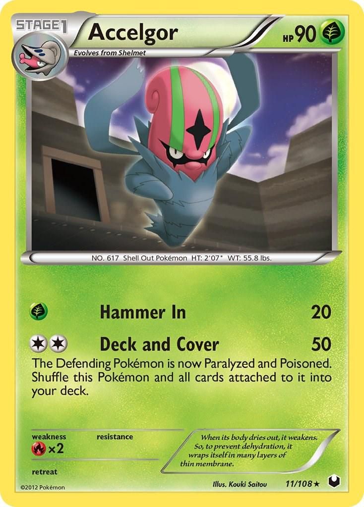 Best Graded Accelgor Cards: Collector & Investor Guide