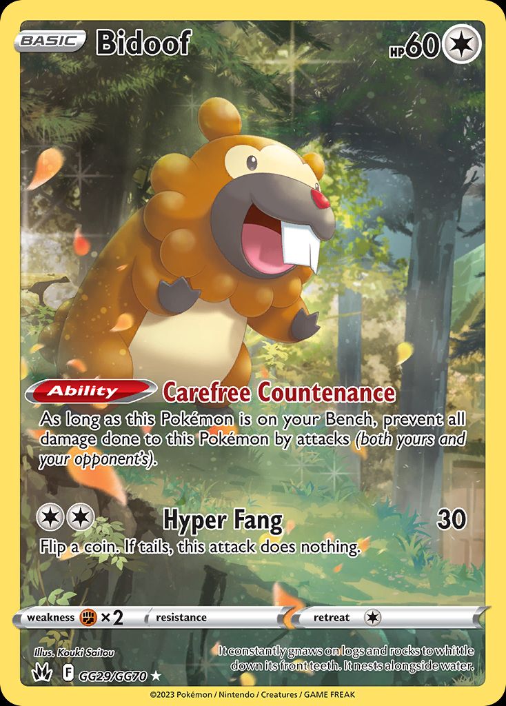 Best Graded Bidoof Cards: Collector & Investor Guide
