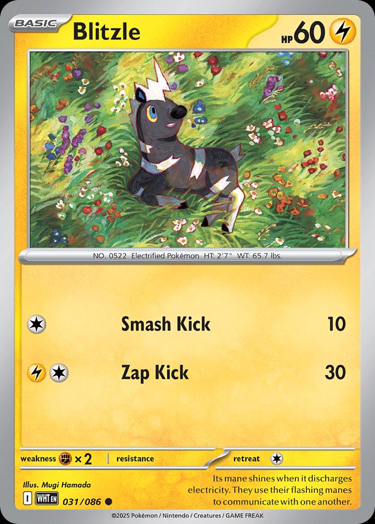 Best Graded Blitzle Cards: Collector & Investor Guide