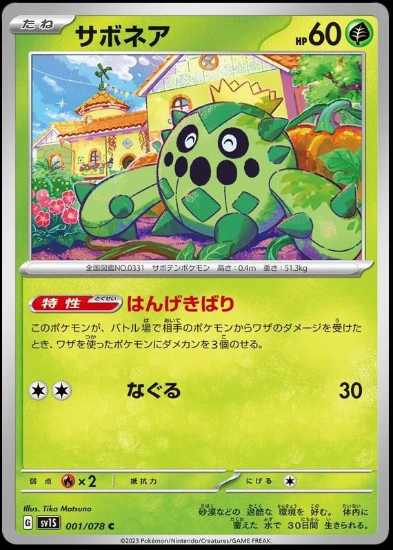 Best Graded Cacnea Cards: Collector & Investor Guide