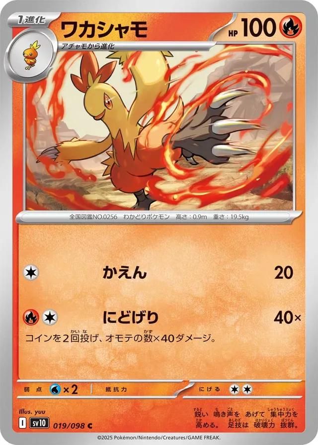 PSA 10 Combusken EX Team Rocket Returns graded Pokémon card