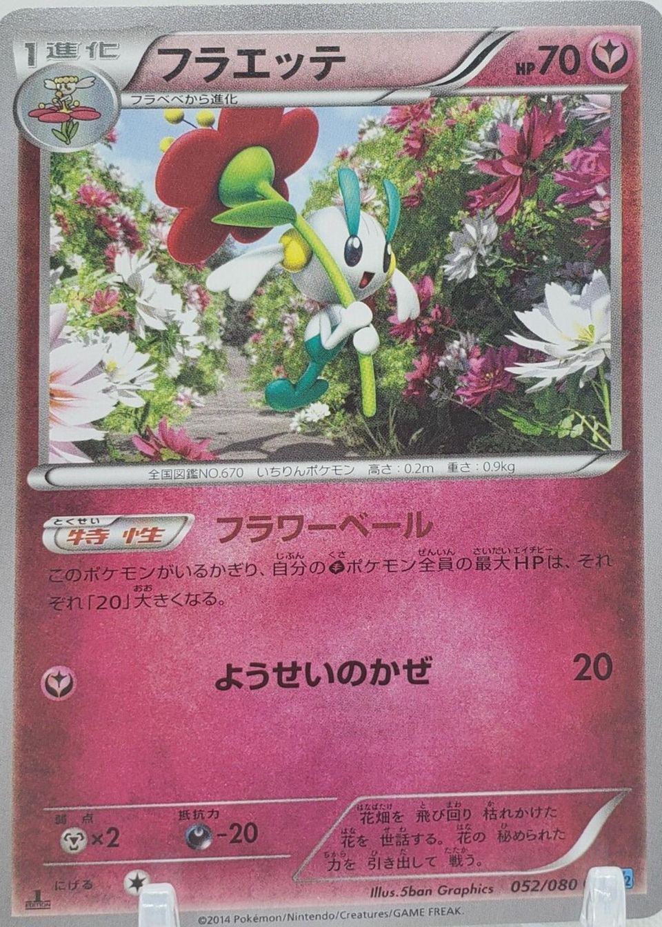 PSA 10 Floette Wild Blaze graded Pokémon card