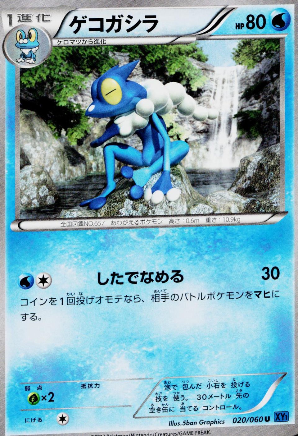 PSA 10 Frogadier McDonald's Collection 2015 graded Pokémon card
