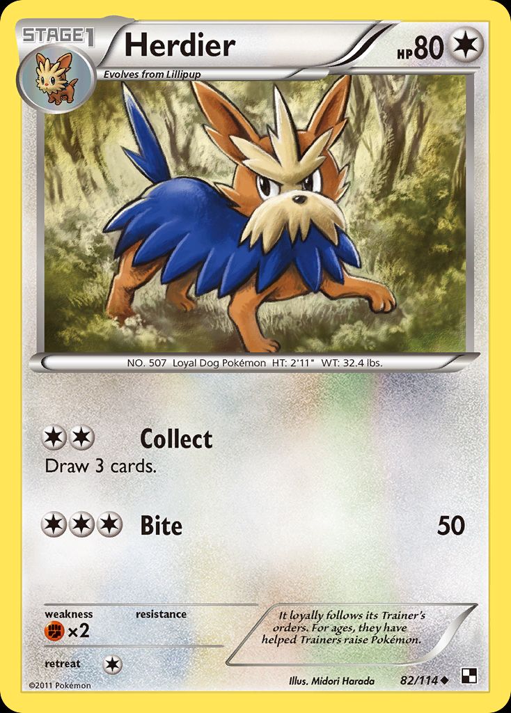 Best Graded Herdier Cards: Collector & Investor Guide