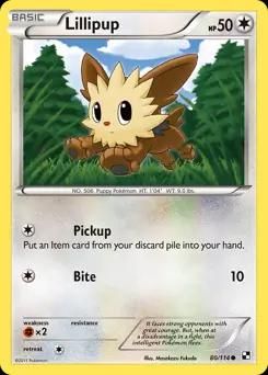 Best Graded Lillipup Cards: Collector & Investor Guide