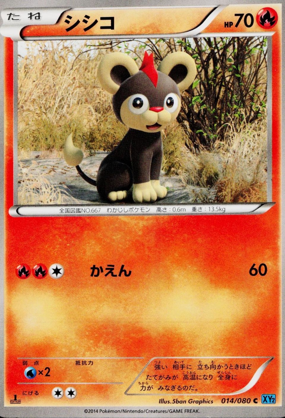 PSA 10 Litleo Wild Blaze graded Pokémon card