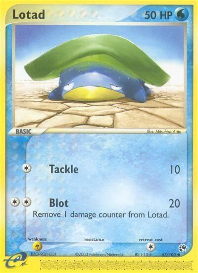 Best Graded Lotad Cards: Collector & Investor Guide
