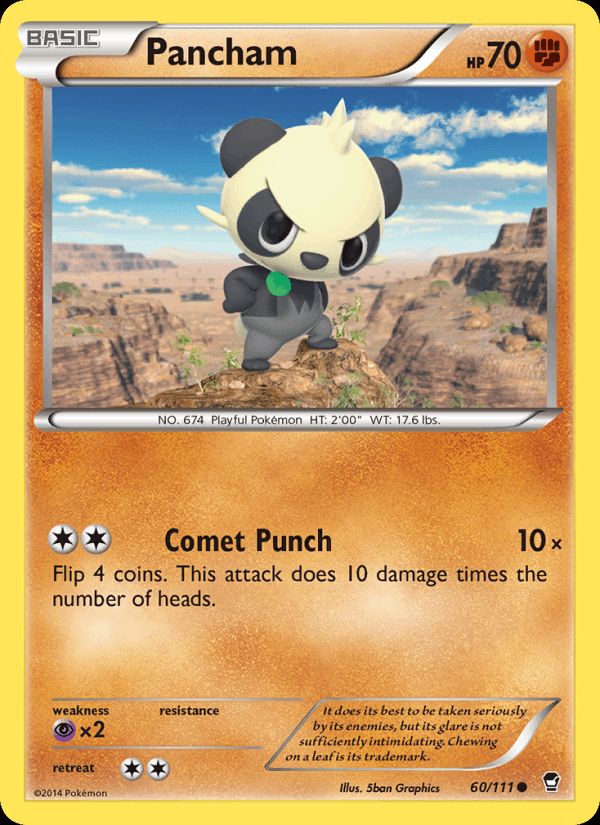 Best Graded Pancham Cards: Collector & Investor Guide