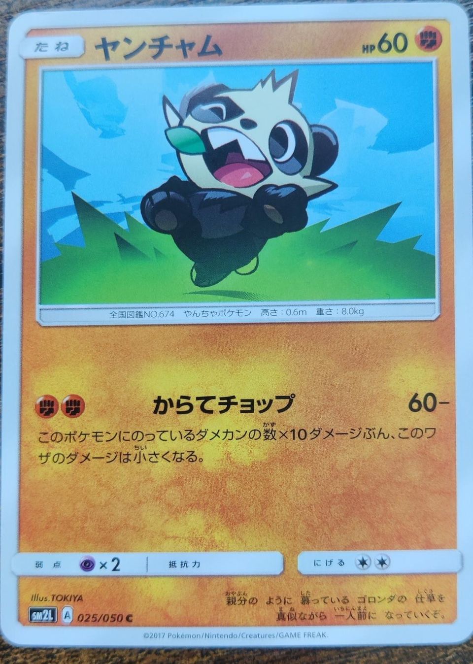 PSA 10 Pancham Sun & Moon graded Pokémon card