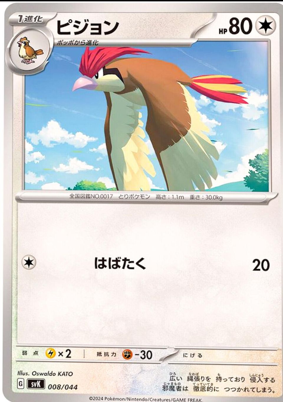 PSA 10 Pidgeotto Southern Islands graded Pokémon card