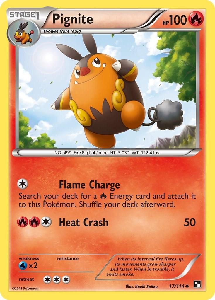 Best Graded Pignite Cards: Collector & Investor Guide