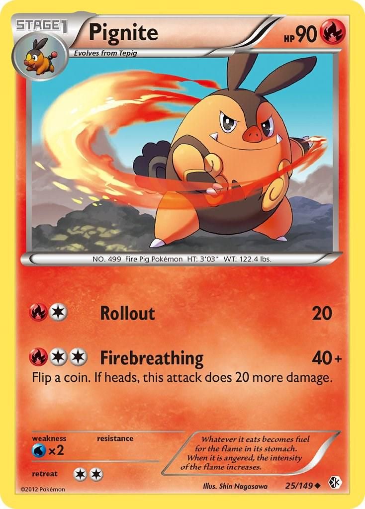 PSA 10 Pignite Boundaries Crossed graded Pokémon card
