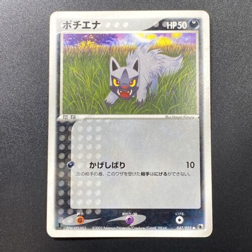 Best Graded Poochyena Cards: Collector & Investor Guide