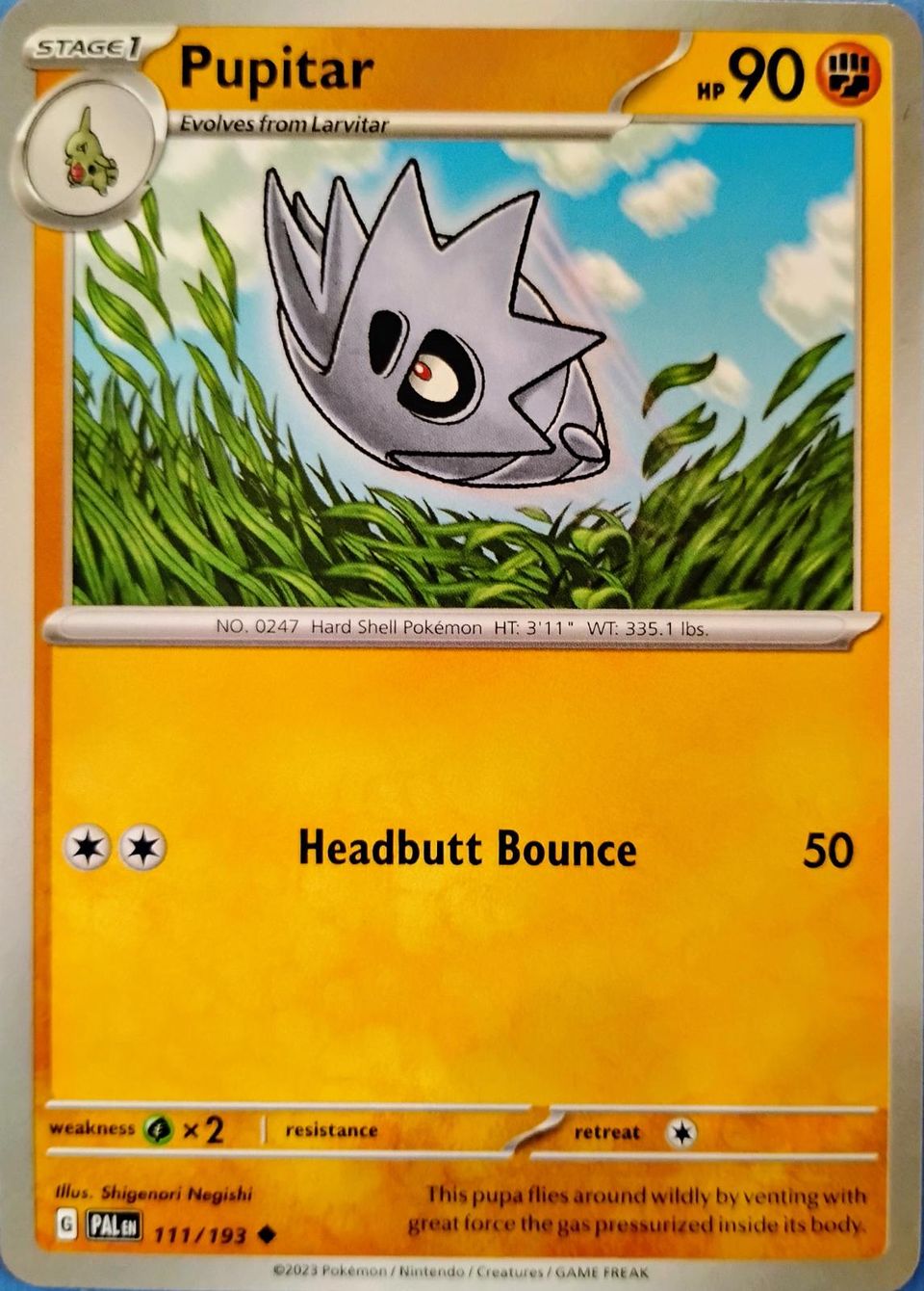 PSA 10 Pupitar Paldea Evolved graded Pokémon card