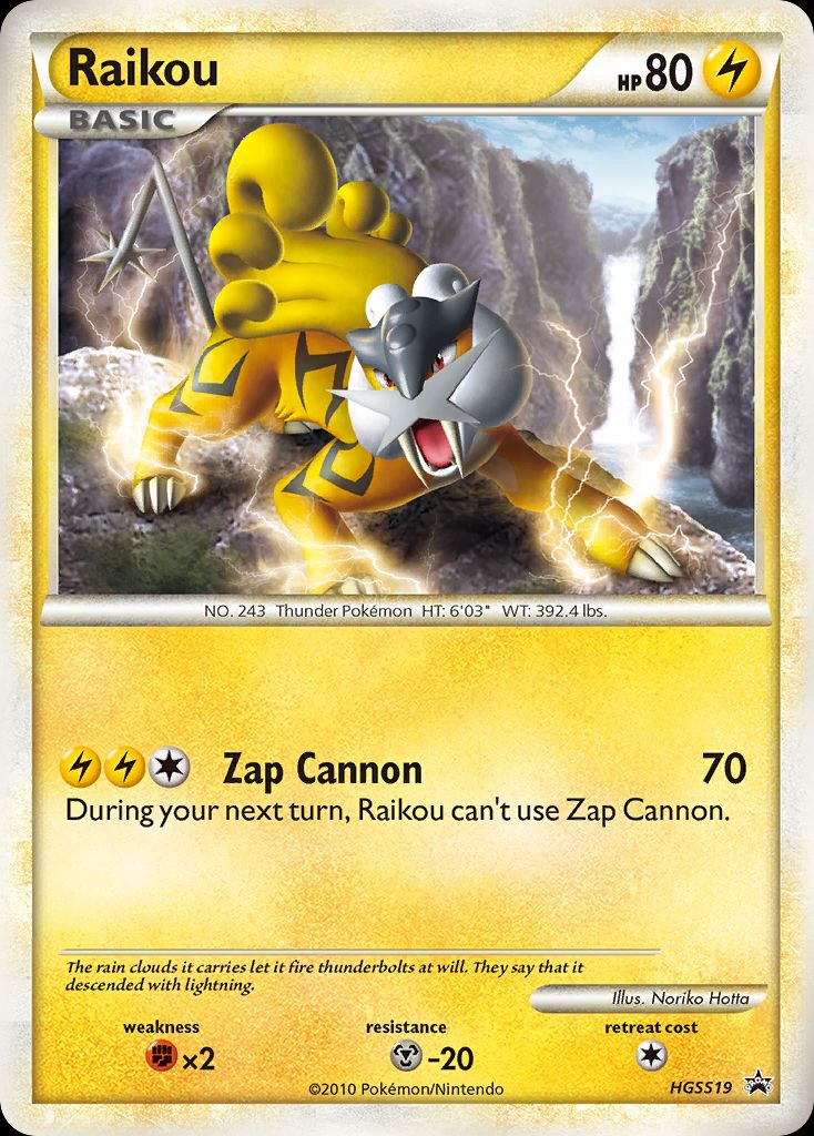 PSA 10 Raikou HGSS Black Star Promos graded Pokémon card
