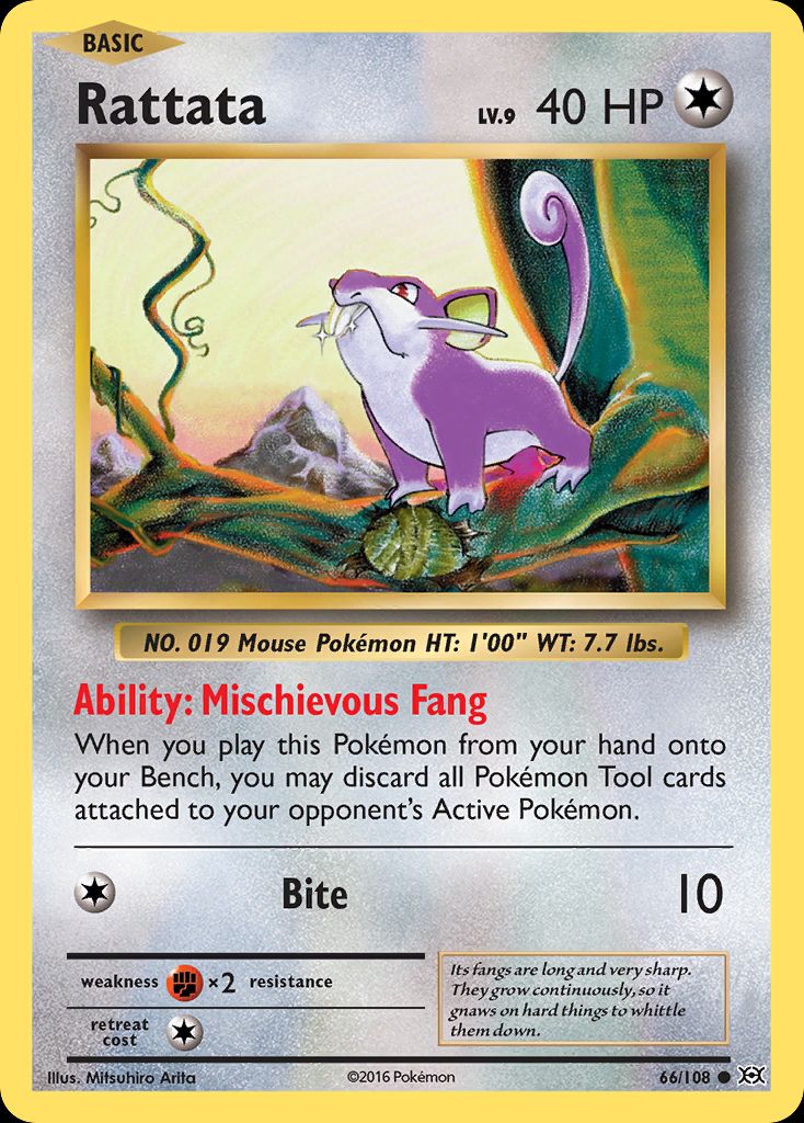 PSA 10 Rattata XY Evolutions graded Pokémon card