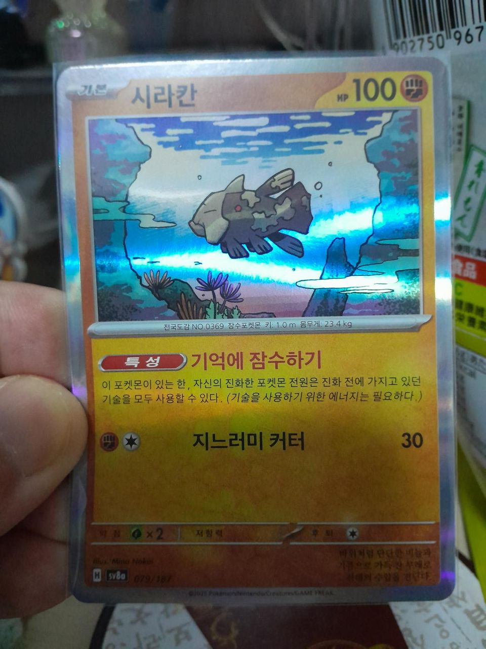 Best Graded Relicanth Cards: Collector & Investor Guide
