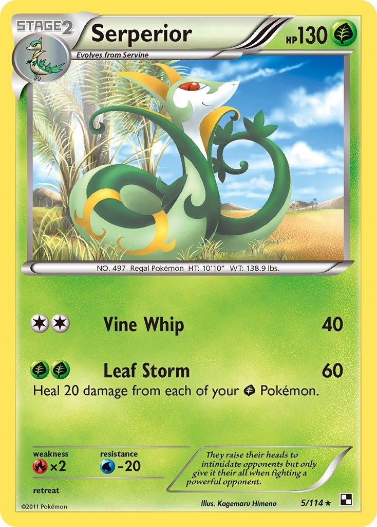 Best Graded Serperior Cards: Collector & Investor Guide