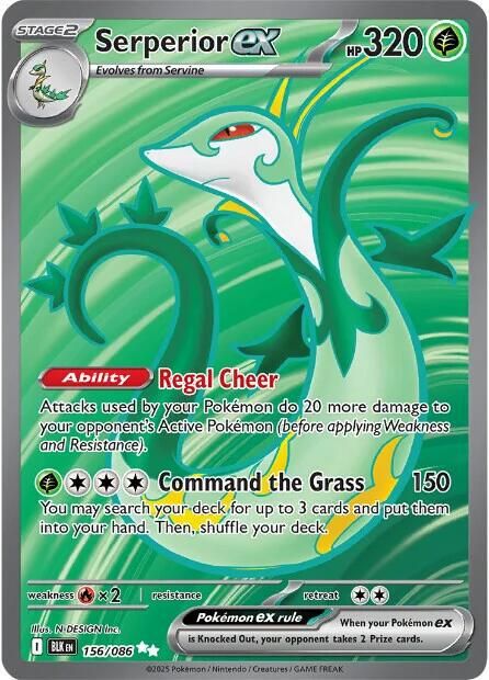PSA 10 Serperior XY Black Star Promos graded Pokémon card