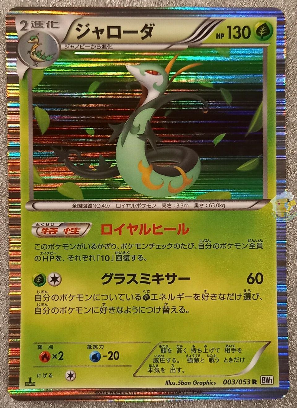 PSA 10 Serperior Shiny Collection graded Pokémon card