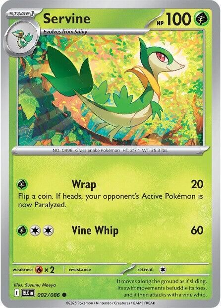 PSA 10 Servine Megalo Cannon graded Pokémon card