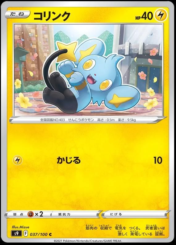 PSA 10 Shinx Pokémon Card Game DPt Entry Pack graded Pokémon card