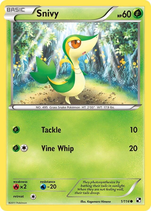 PSA 10 Snivy Hail Blizzard graded Pokémon card