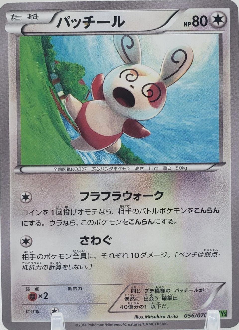 Best Graded Spinda Cards: Collector & Investor Guide