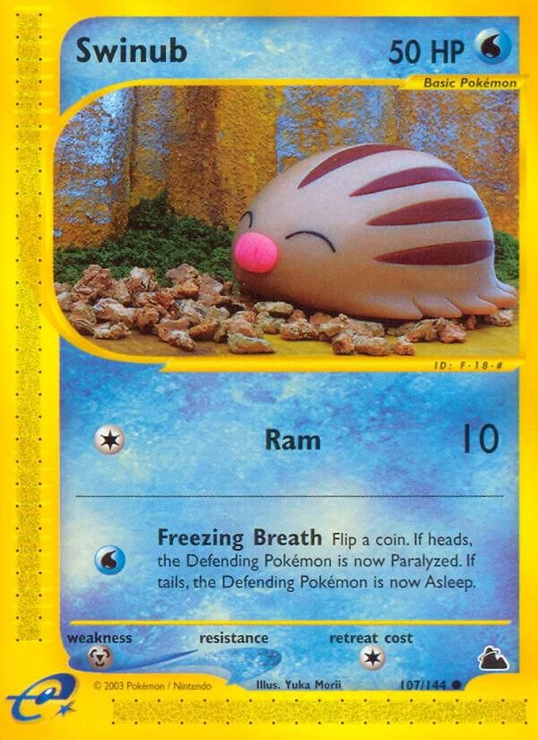PSA 10 Swinub Skyridge graded Pokémon card