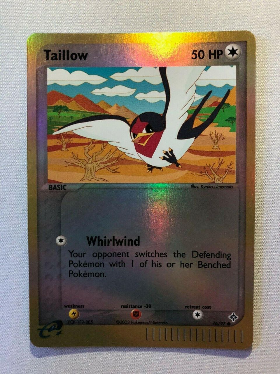 Best Graded Taillow Cards: Collector & Investor Guide