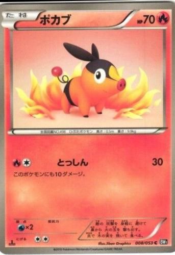 PSA 10 Tepig Hail Blizzard graded Pokémon card