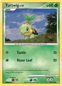 Best Graded Turtwig Cards: Collector & Investor Guide