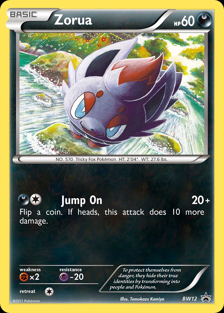 Best Graded Zorua Cards: Collector & Investor Guide