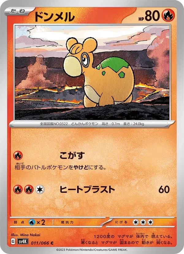 Numel 11