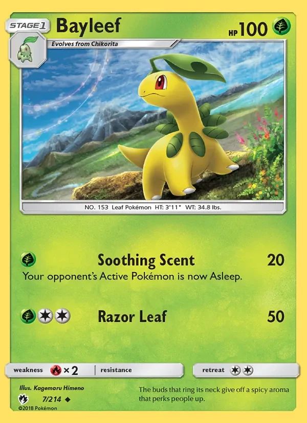 Bayleef 7