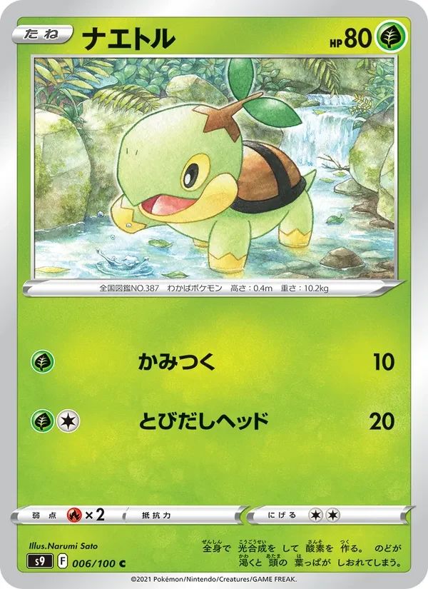 Turtwig 6