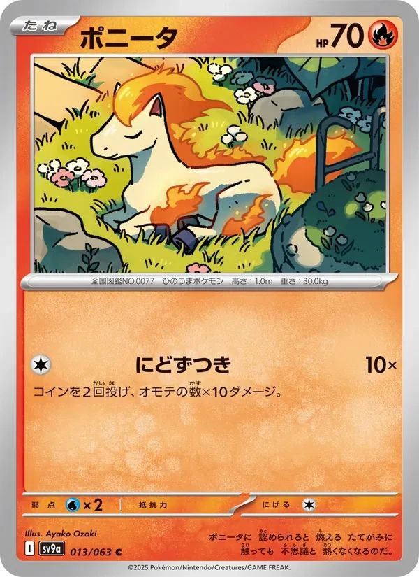 Ponyta 13