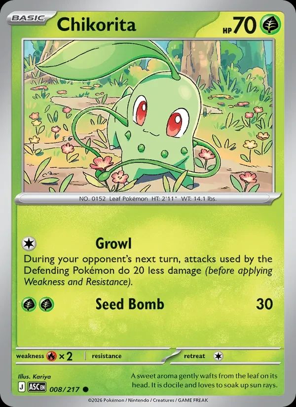Chikorita 8