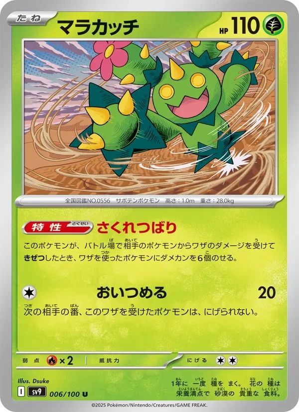 Maractus 6