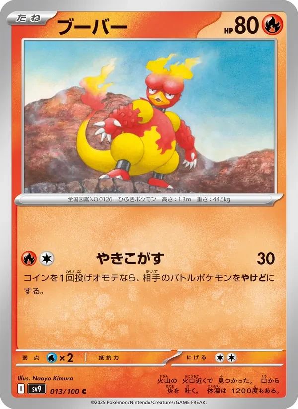 Magmar 13